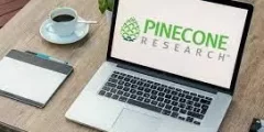 شرح موقع Pinecone Research للربح من الاستبيانات